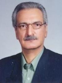 سید محسن محمودی