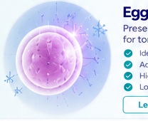 Egg freezing laboratory procedure