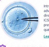 Microinjection ICSI procedure under microscope