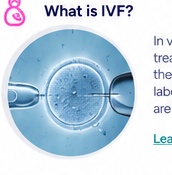 IVF fertilization laboratory procedure