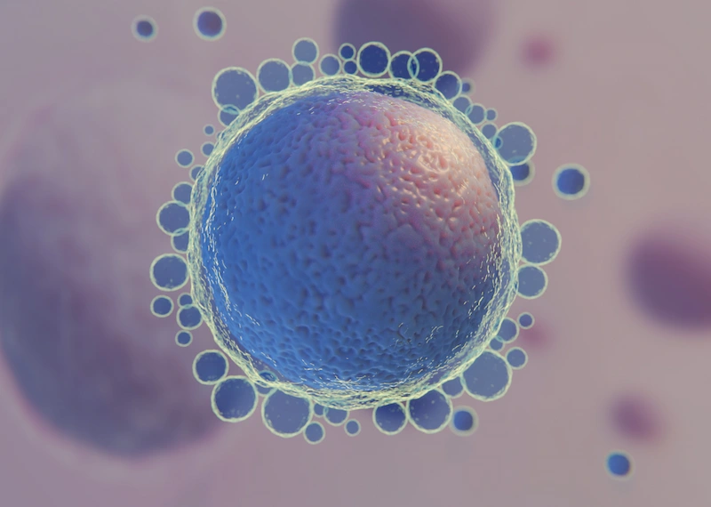 ivf