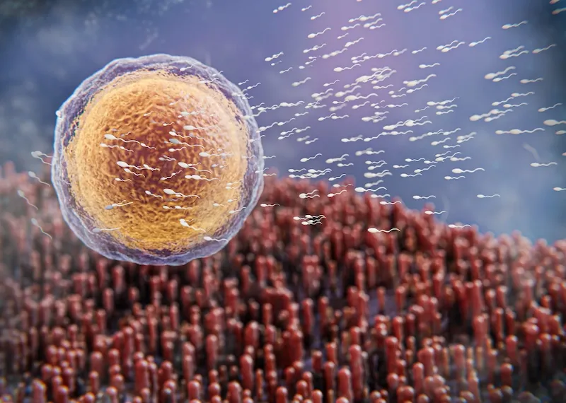 ICSI in Iran: The Best Combination of Cost & Success Rate (2025)