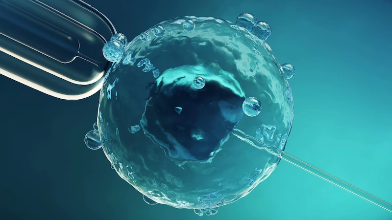 علائم موفقیت‌آمیز بودن IVF