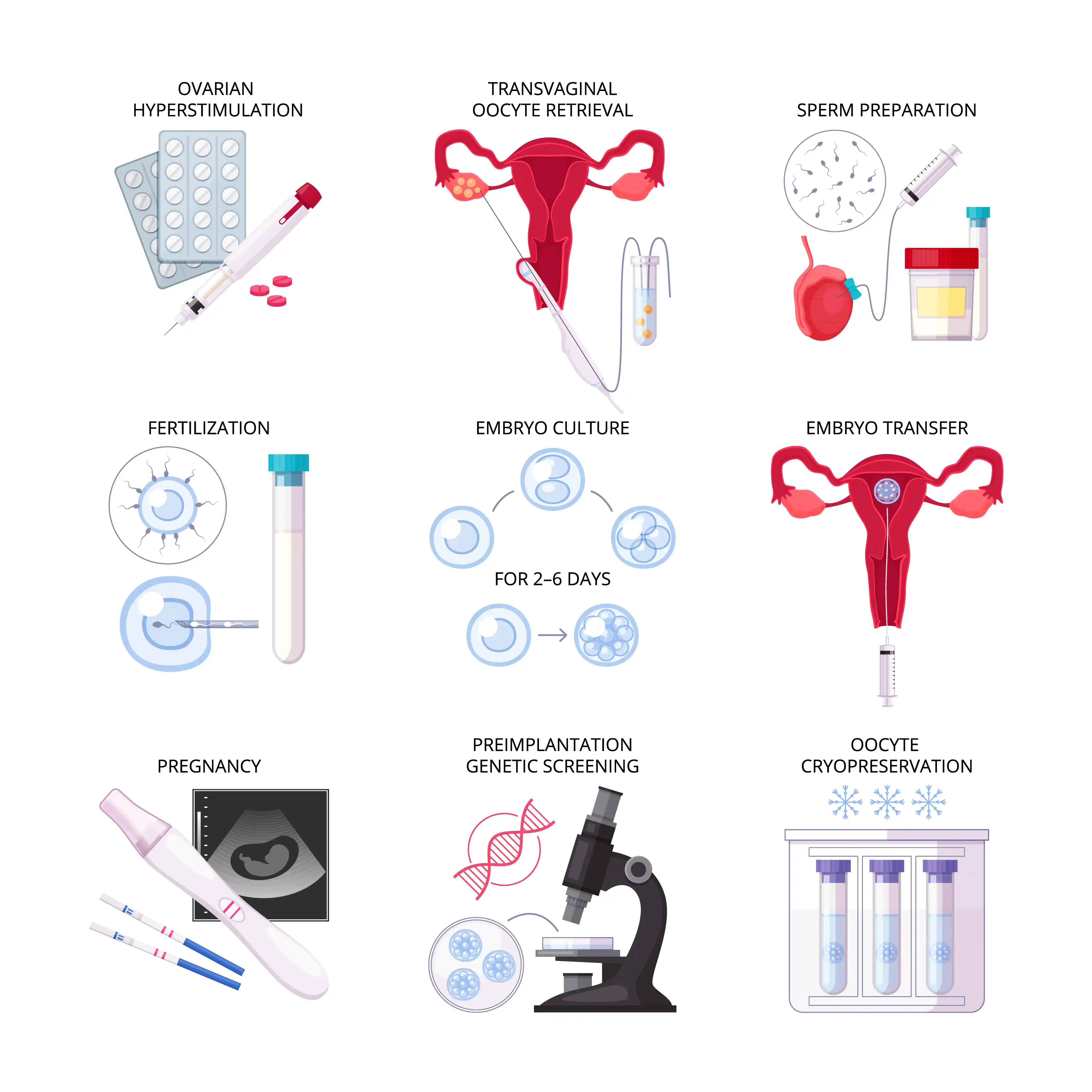  مراحل IVF