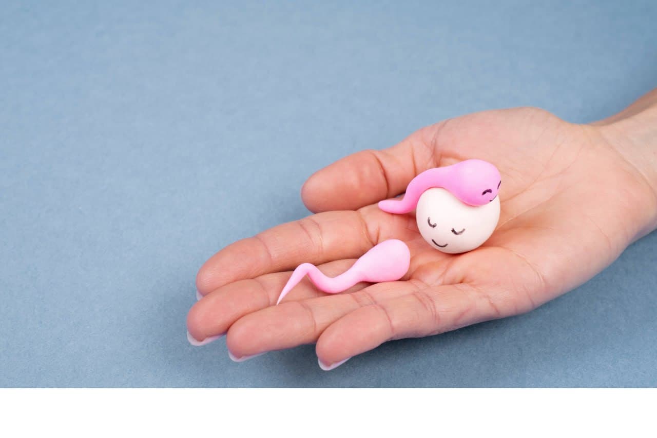 هزینه IVF در سال 1405 چقدر است؟