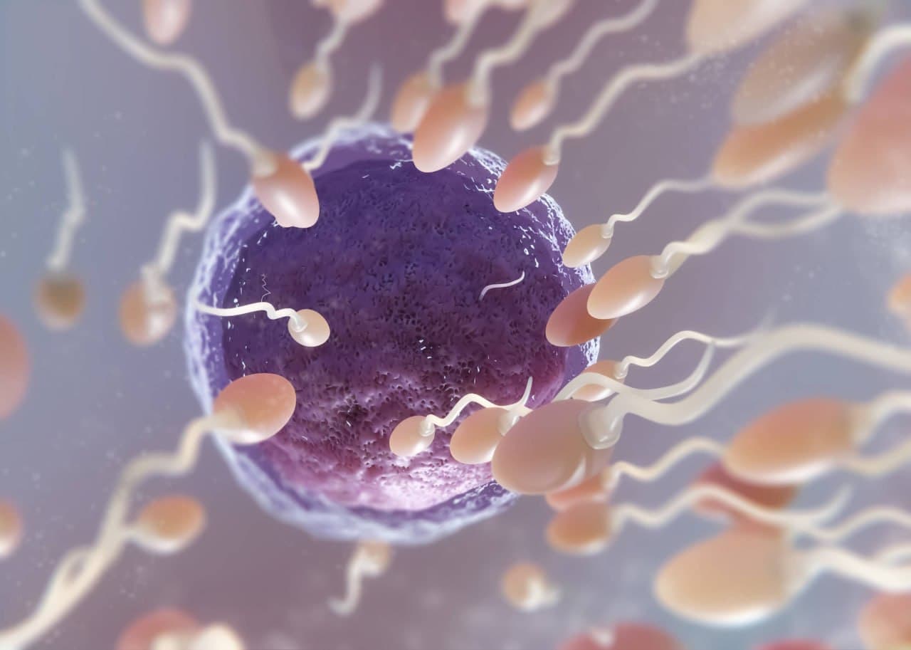 چه عواملی هزینه IVF را افزایش می&zwnj;دهند؟